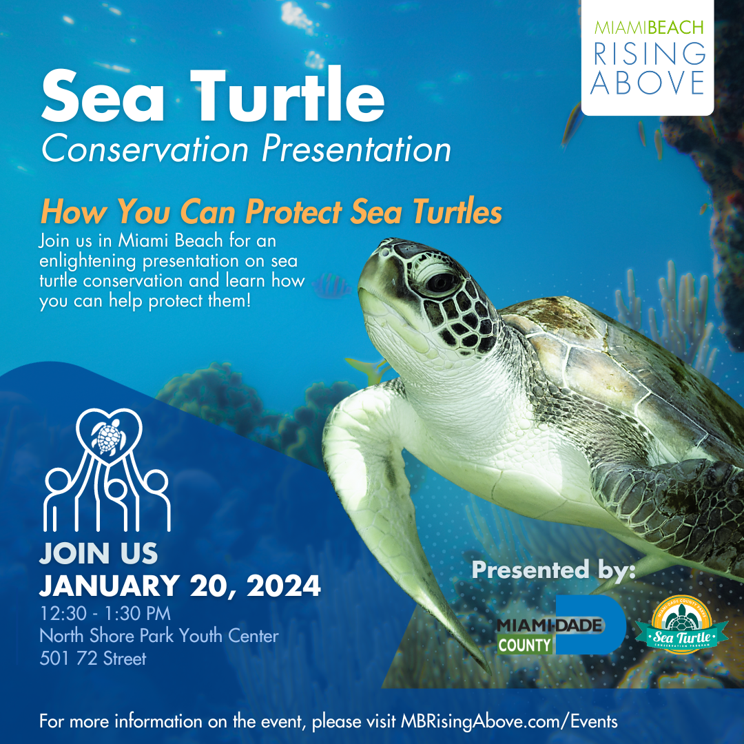 Sea Turtle Conservation Presentation - City of Miami Beach