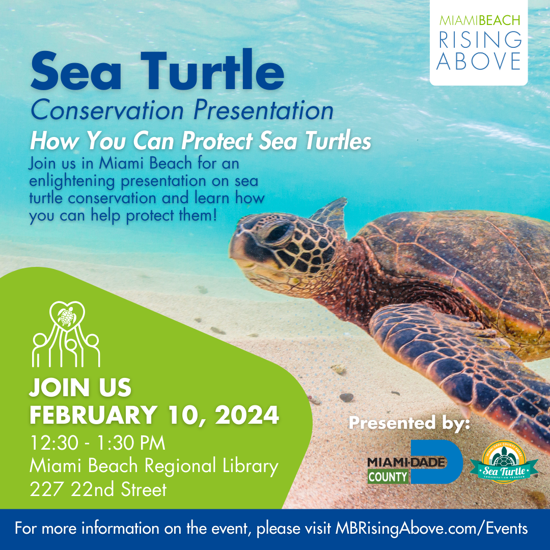 Sea Turtle Conservation Presentation - City of Miami Beach