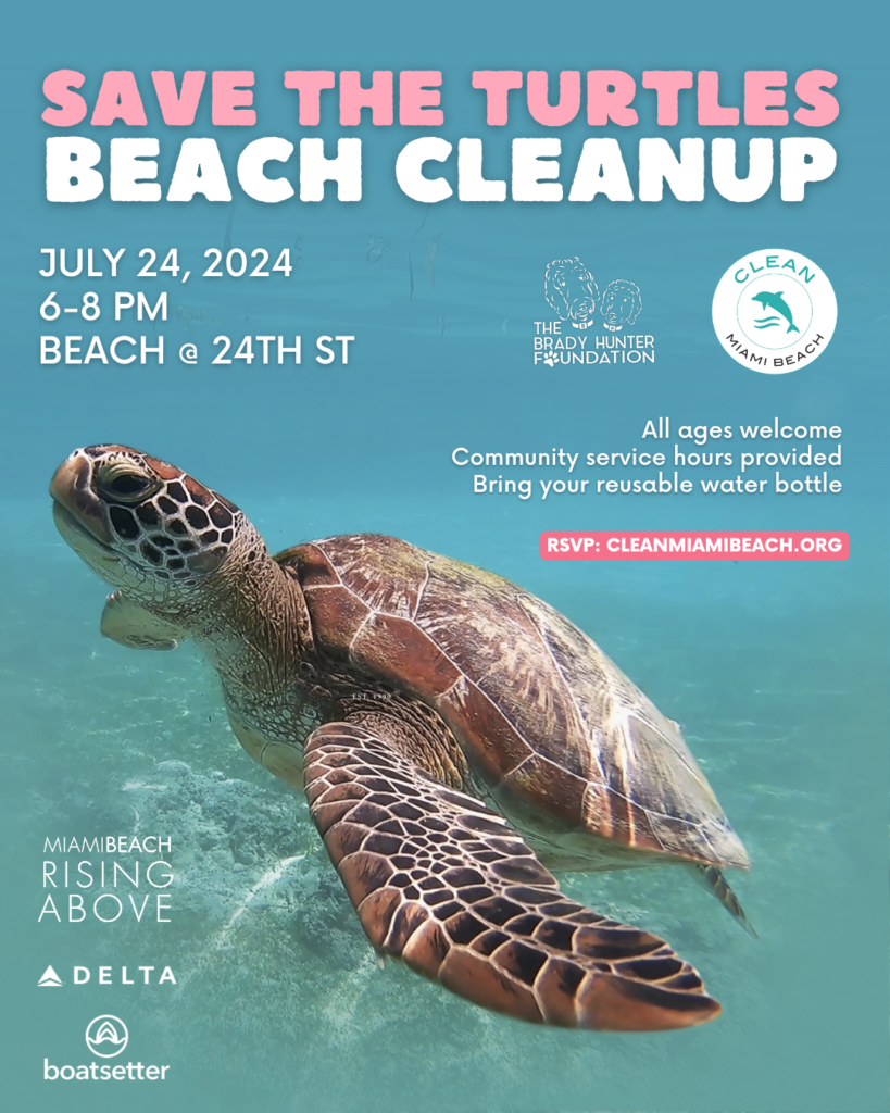 Save the turtles beach cleanup flyer