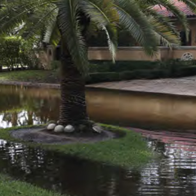 neighborhood flooding