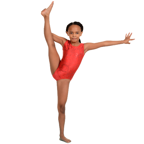 girl in gymnastics pose